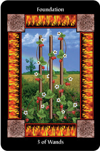 Sacred Circle Tarot