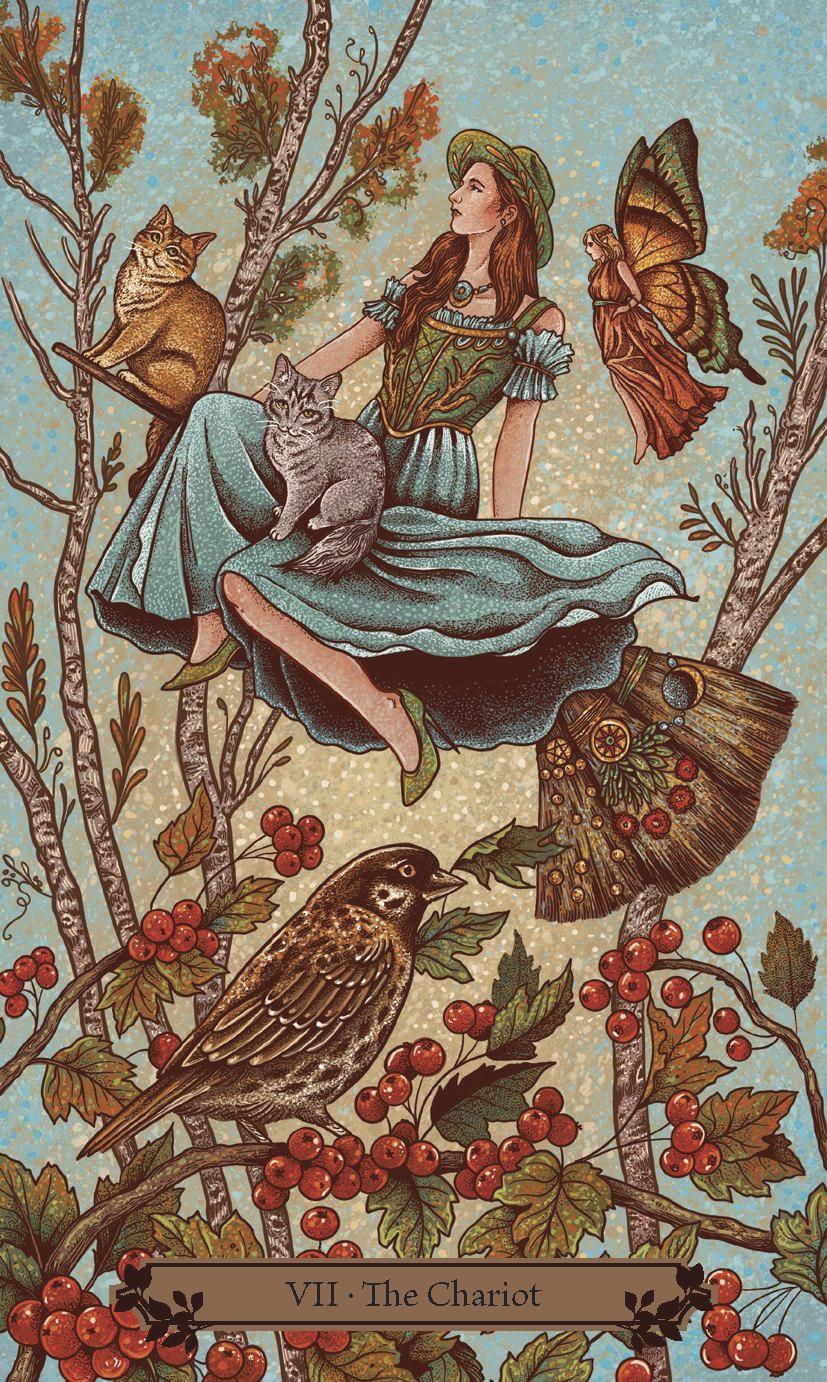 The Hedgewitch Tarot