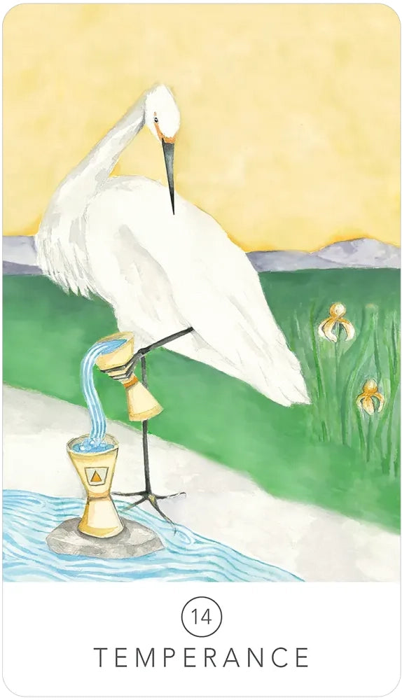 Black Seed Tarot image 5