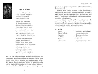 Stained Glass Tarot by James Edward: Flashcards; 336 pages / English